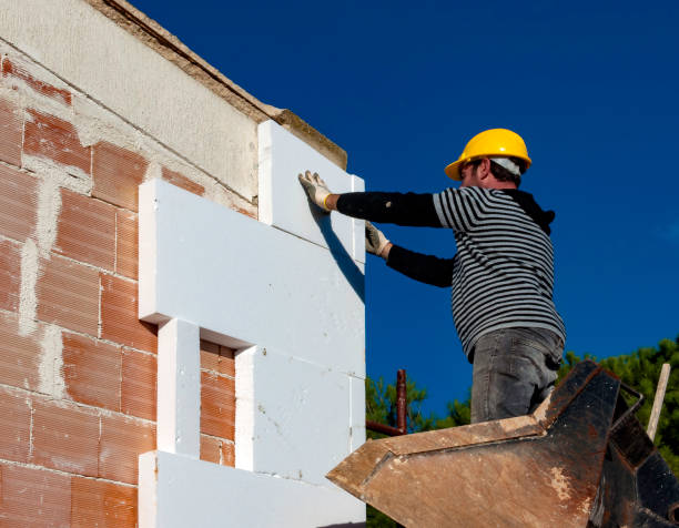 Best Insulation Installation Services in Pine Manor, FL