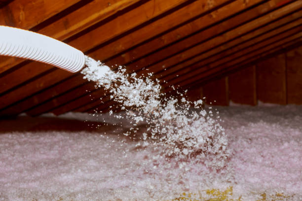 Best Insulation for Specific Applications in Pine Manor, FL