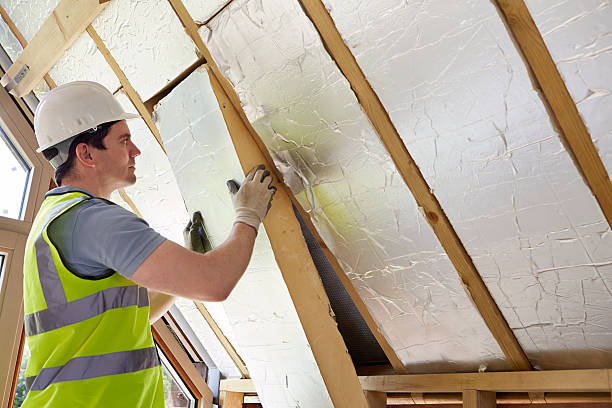 Best Residential Insulation in Pine Manor, FL